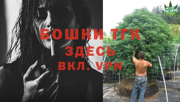 ПСИЛОЦИБИНОВЫЕ ГРИБЫ Липки